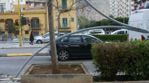 Forte vento a Palermo, caduti due pali dell’illuminazione |GUARDA LE IMMAGINI