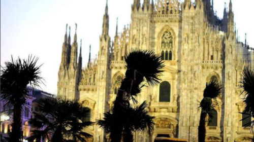 Palme in piazza Duomo a Milano, Sgarbi: “Vanno bene da Palermo in giù, e cioè in Africa”