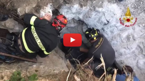 Palermo, i vigili del fuoco salvano un cane finito in una cavità rocciosa |VIDEO