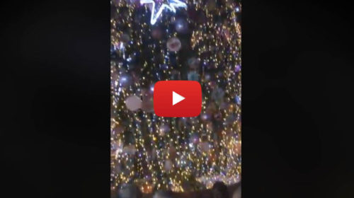 Palermo, l’accensione dell’albero di Natale in piazza Politeama 🎄 VIDEO 🎥