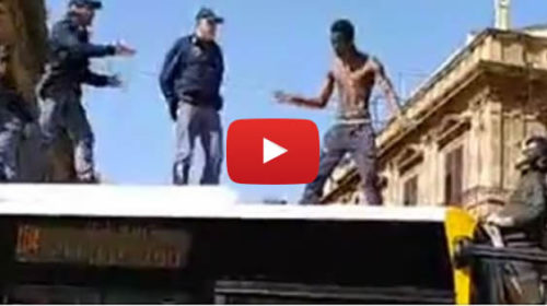 Palermo, follia sul bus: sale sul tetto e viene fermato dopo una lunga trattativa 🎥 VIDEO