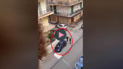 Bagheria, chiude il cane nel portabagagli e se ne va: arriva la polizia e viene denunciato 🎥 VIDEO
