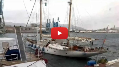 Fiocchi di neve giunti al porto di Palermo: le immagini 🎥 VIDEO