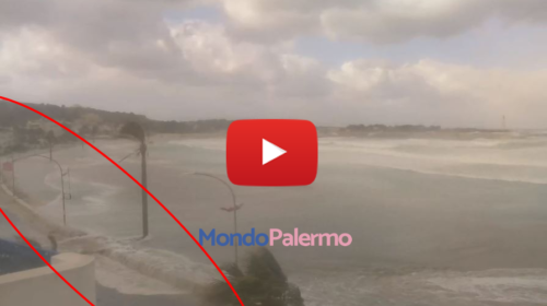 Maltempo, onde lunghe “inghiottono” la spiaggia di San Vito lo Capo: il mare arriva in strada 🎥 VIDEO