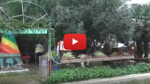 Pensionato palermitano ha trasformato una discarica in giardino 📹 IL VIDEO