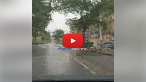 Piogge insistenti su Palermo da questa mattina: le immagini da Via Libertà 📹 VIDEO