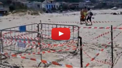 Una tartaruga caretta caretta depone uova sulla spiaggia di Alcamo 📹 IL VIDEO