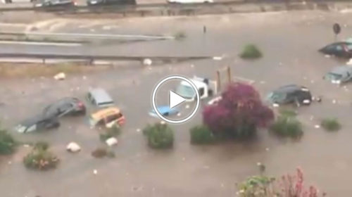 Palermo, scene apocalittiche in Viale Regione: automobilisti soccorsi a nuoto 📹 VIDEO