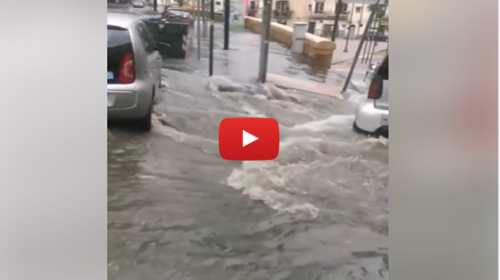 Palermo, zona Cattedrale allagata: “Immagini forti sconsigliate per chi non sa nuotare” 📹 VIDEO