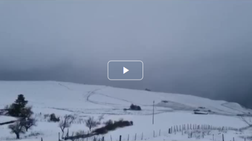 Neve sulle Madonie, viabilità difficile: pochi i mezzi per liberare le strade – VIDEO