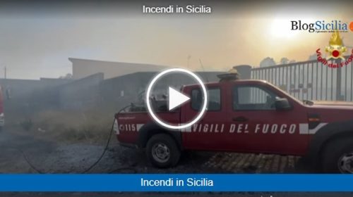 Sicilia nella morsa del caldo, l’isola brucia ancora, bollino rosso a Palermo, Catania e Messina – VIDEO