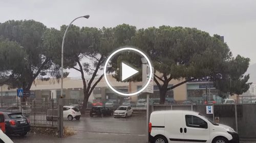 Temporale su Palermo, pioggia battente in città: le immagini – VIDEO