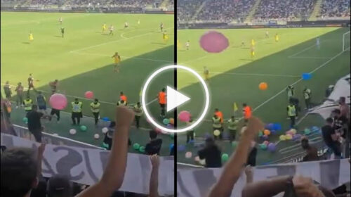 Palermo-Frosinone, tifosi rosanero lanciano palloncini in campo: partita interrotta per qualche minuto – IL VIDEO