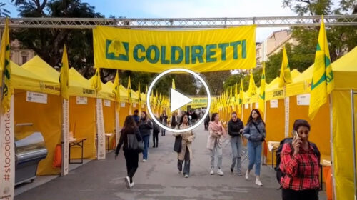 Palermo, tutto pronto al Villaggio Coldiretti in piazza Castelnuovo – IL VIDEO