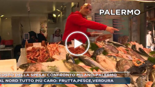 Costo della spesa, confronto Milano-Palermo in diretta Tv: il servizio | VIDEO