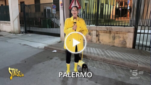 Palermo, il lato oscuro del mercato ortofrutticolo: Stefania Petyx ritorna per scoprire se qualcosa è cambiato – IL VIDEO