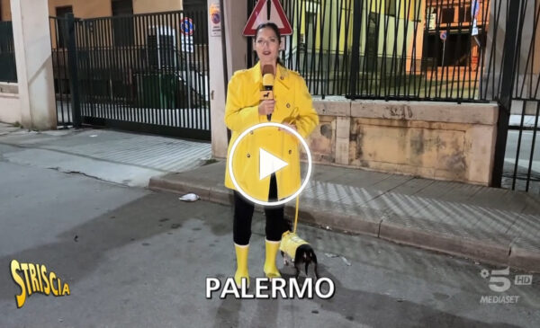 Palermo, il lato oscuro del mercato ortofrutticolo: Stefania Petyx ritorna per scoprire se qualcosa è cambiato – IL VIDEO