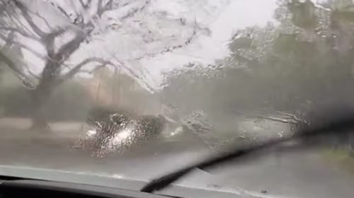 Il cielo si oscura su Palermo, forte pioggia e tuoni in città: le immagini dalla Favorita – VIDEO