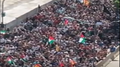 Sciopero per Gaza: Palermo riempie le strade, 20 Mila manifestanti – IL VIDEO